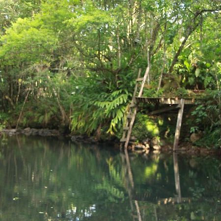 Casa De Campo - Sitio Da Tia Vera Villa Maquiné Dış mekan fotoğraf